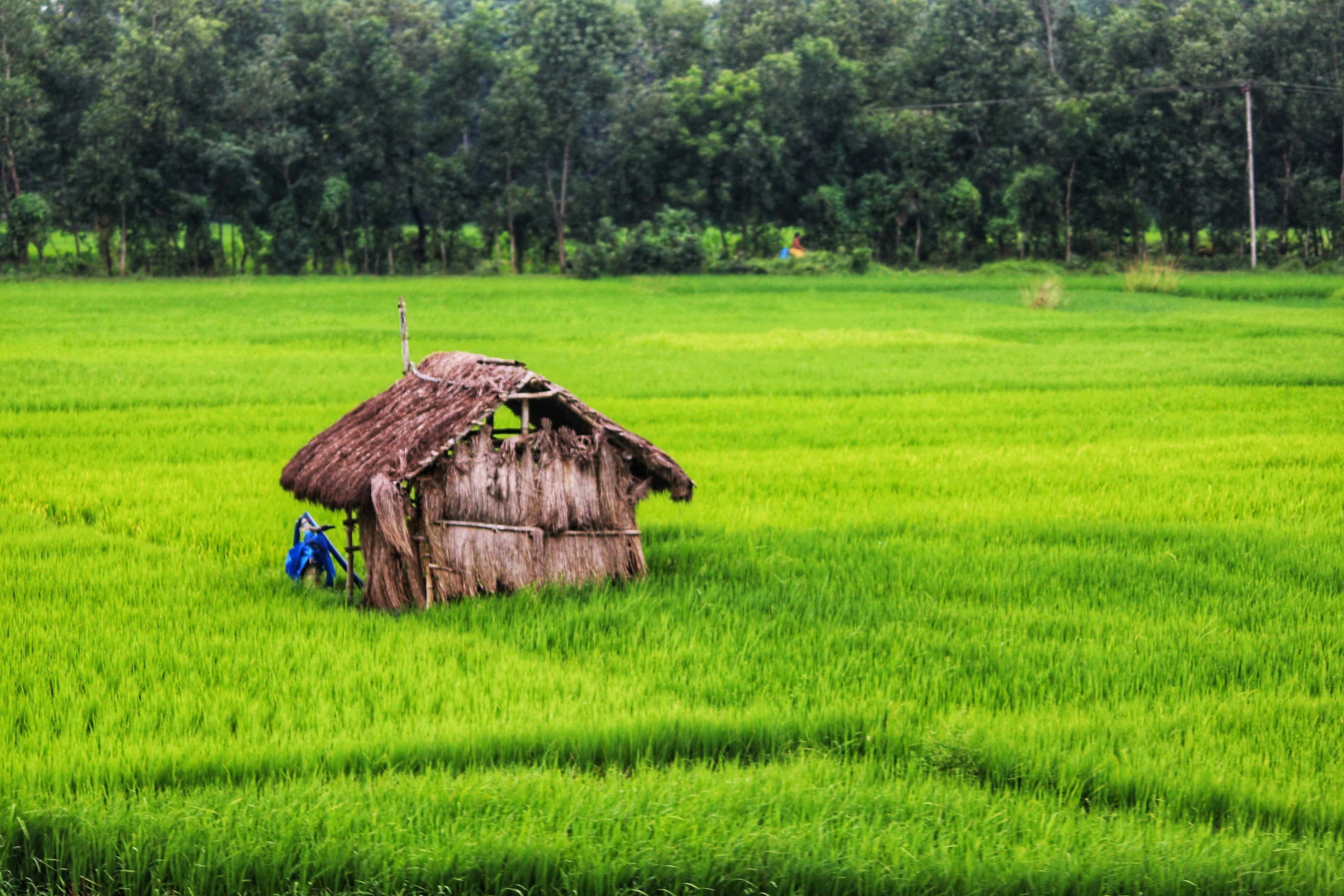 Financial Industry Myths That Quietly Drain Your Wealth