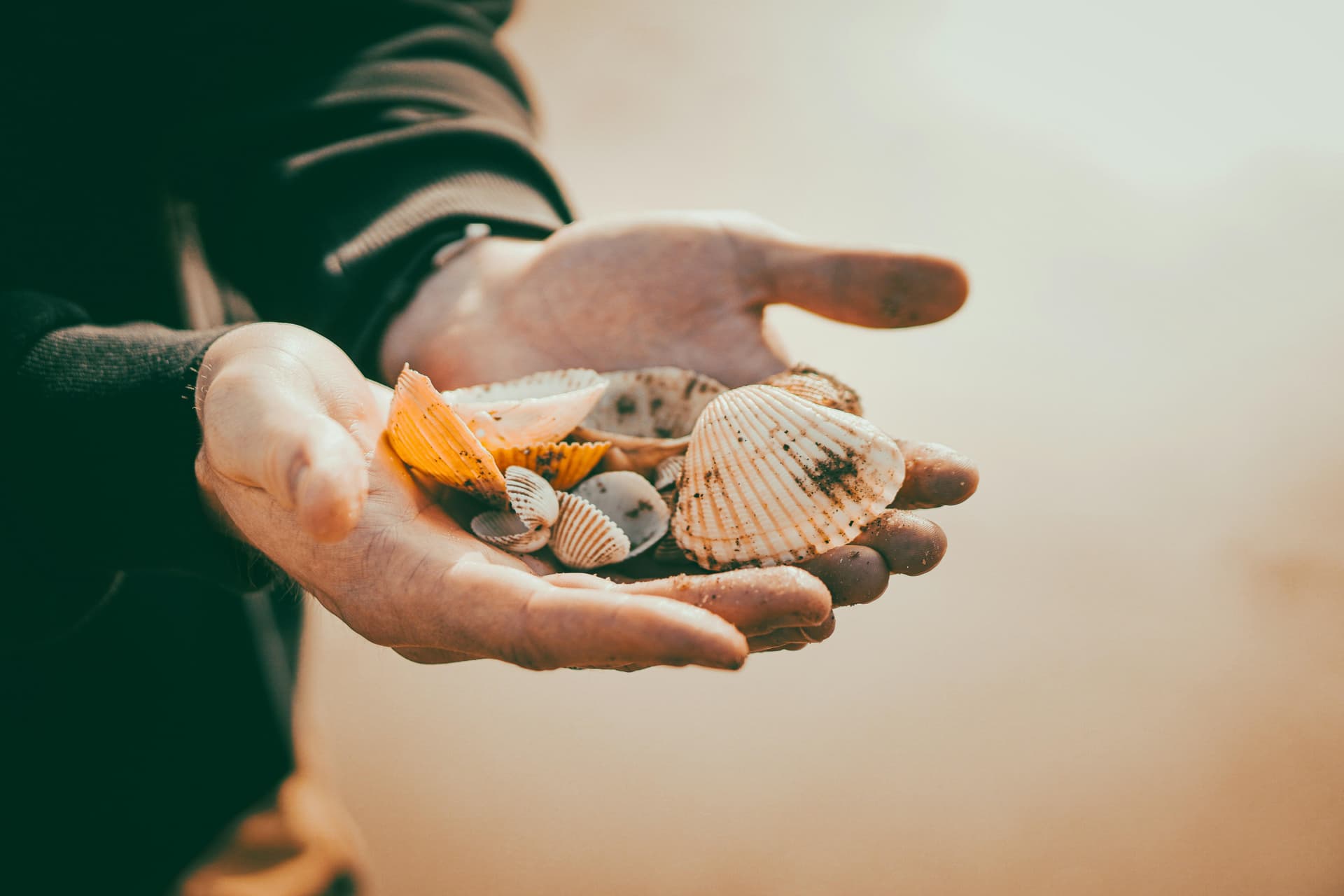 My Side Hustle Made Me Rich, Then Broke Me
