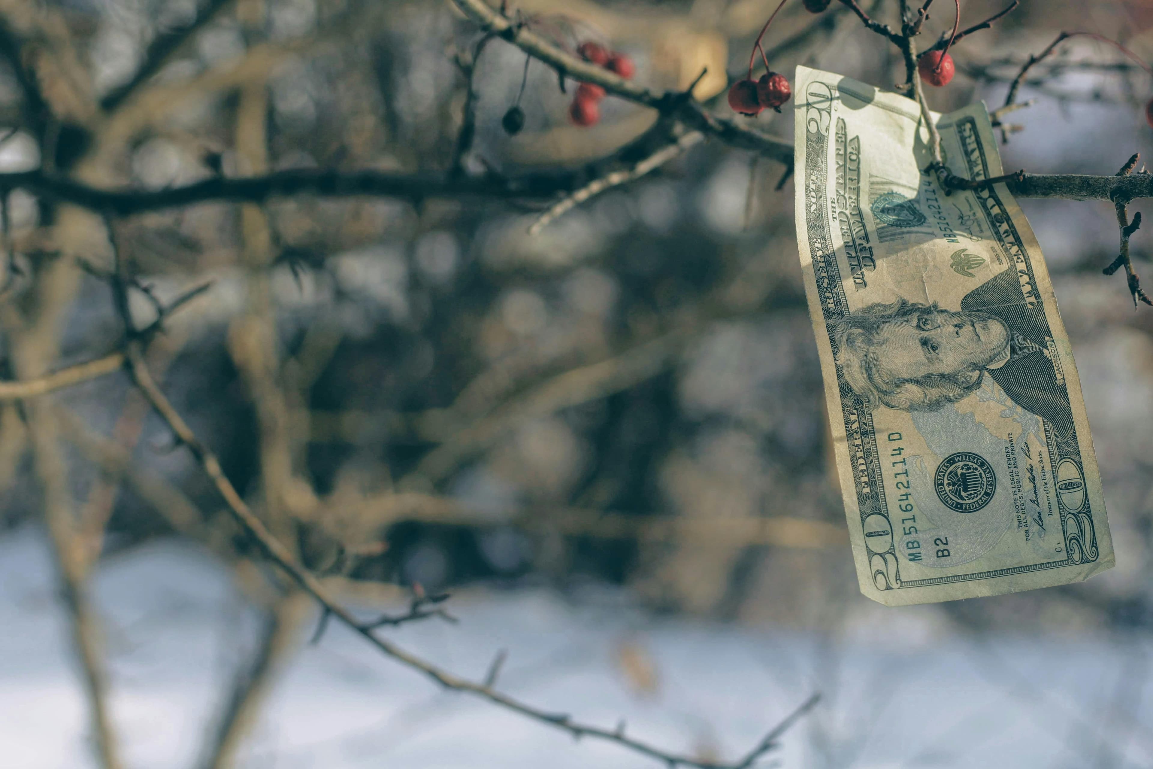 Decoding a REIT's Financials for Beginners